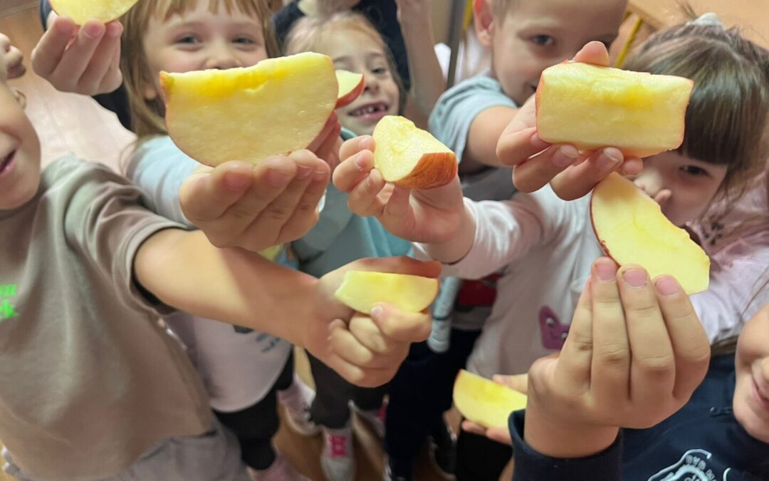 20 listopada – Svjetski dan jabuka